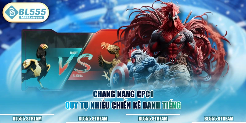 Chạng nặng CPC1 quy tụ nhiều chiến kê danh tiếng