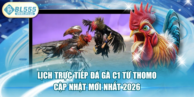 Lịch Trực Tiếp Đá Gà C1 Từ Thomo Cập Nhật Mới Nhất 2026