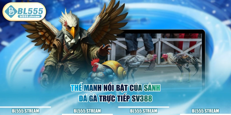 Thế mạnh nổi bật của sảnh đá gà trực tiếp SV388