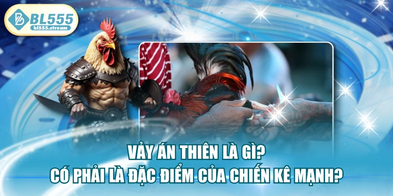 Vảy Án Thiên Là Gì? Có Phải Là Đặc Điểm Của Chiến Kê Mạnh?